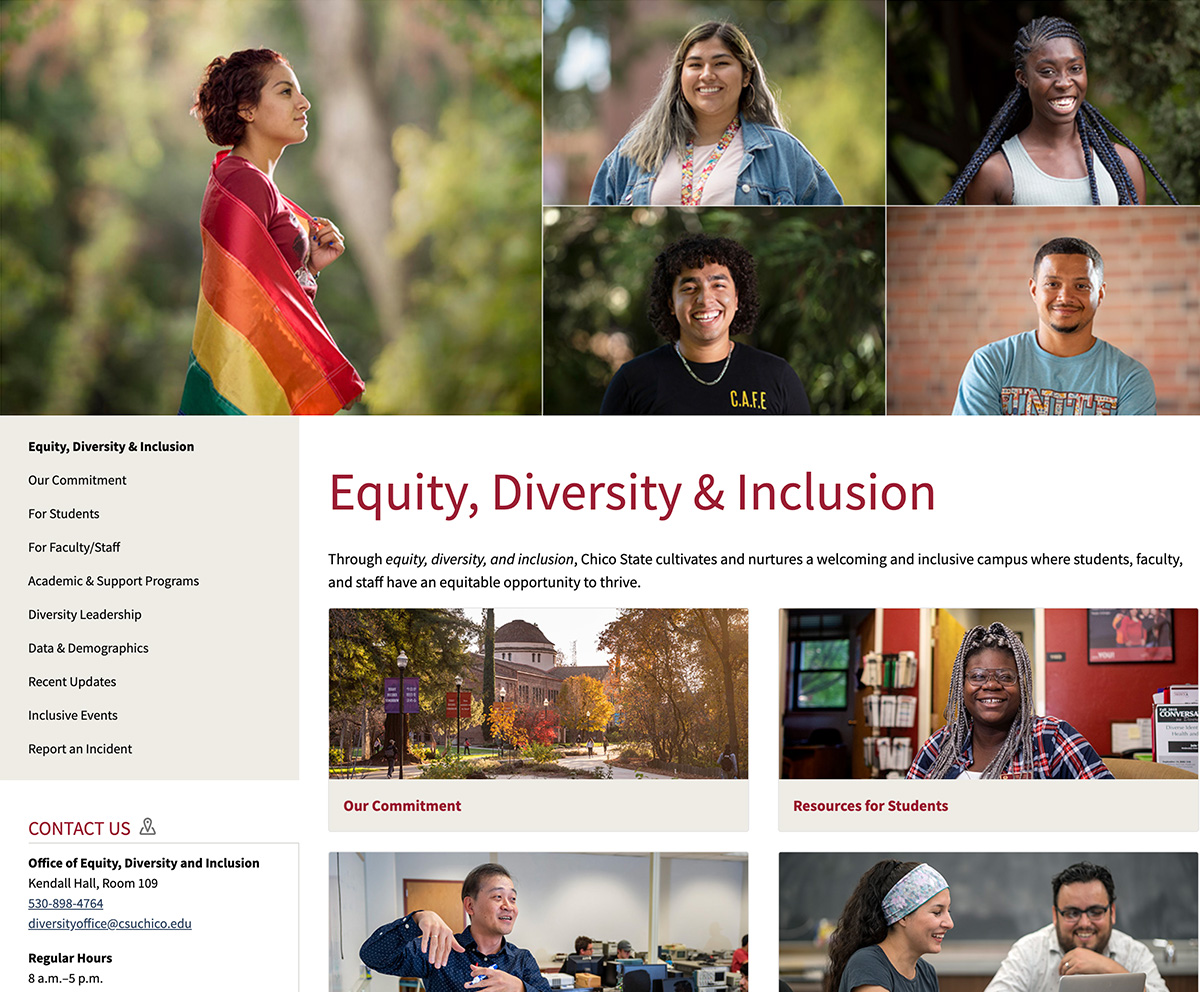 Equity, Diversity, and Inclusion website